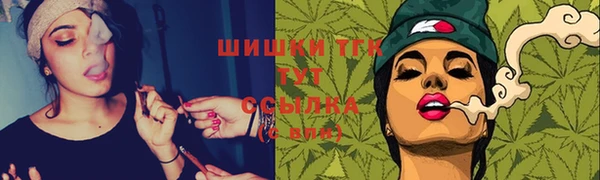 гидропоника Каменногорск