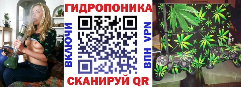 Бошки марихуана White Widow  Купить где  Новопавловск 